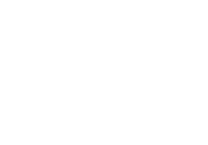 wb williamson footer logo