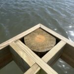 Timber piling and framing detail at the edge of the ThruFlow deck on the Veterans Memorial Park pier